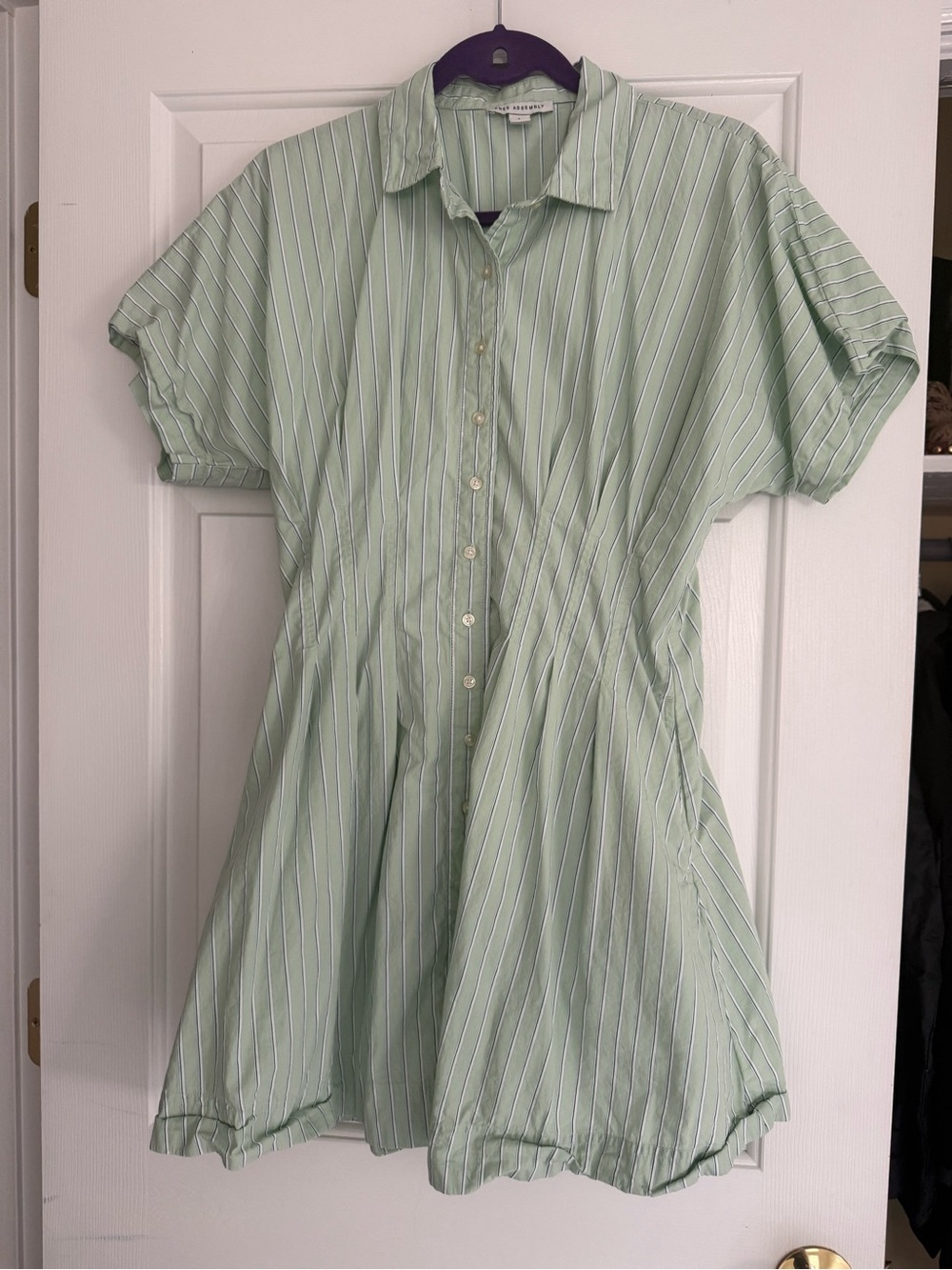 Light Mint Striped Button-Front Mini Dress